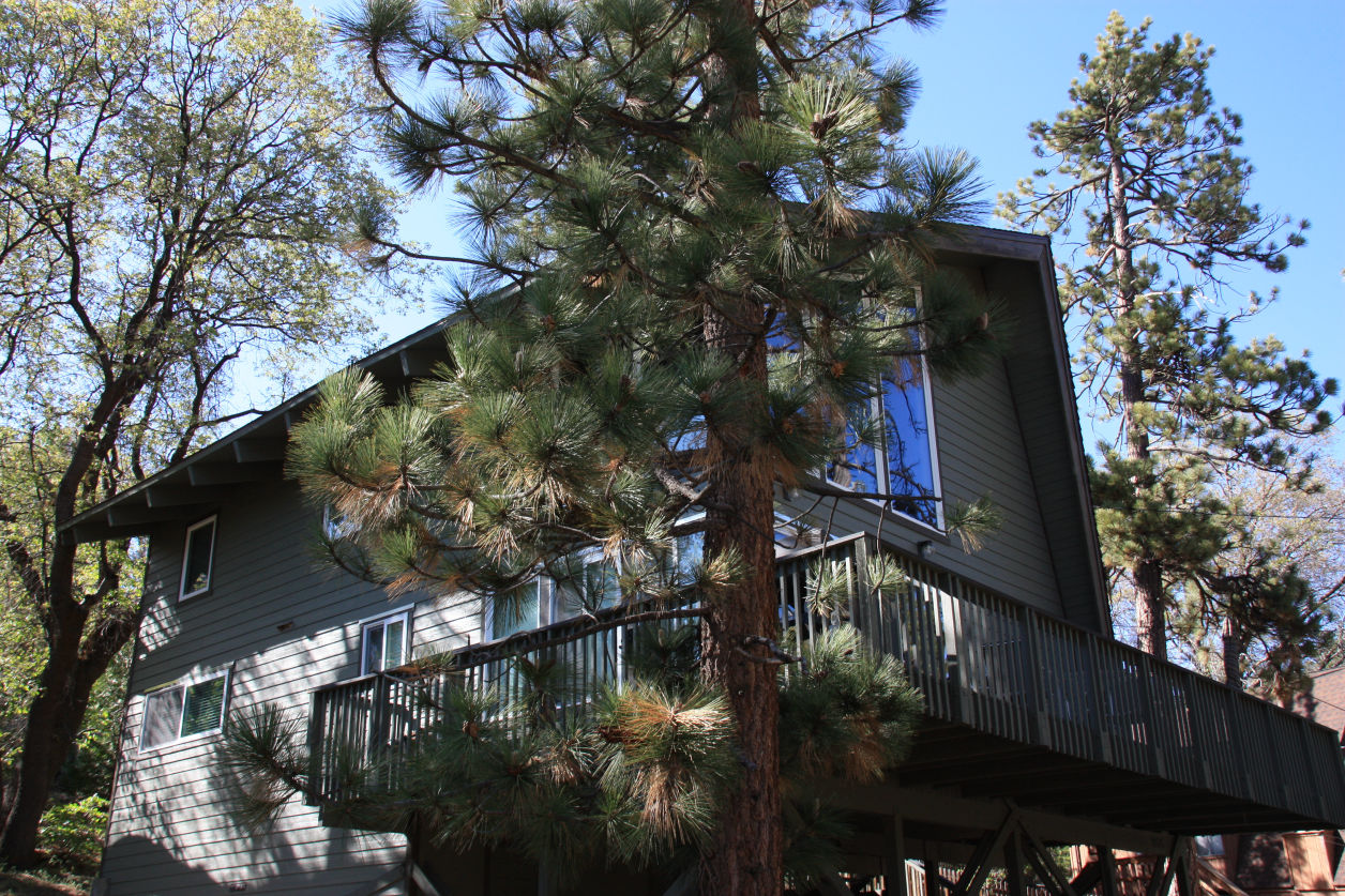 Cabin@Fawnskin